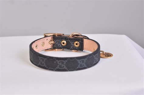 collare per cani gucci|Gucci cat collar.